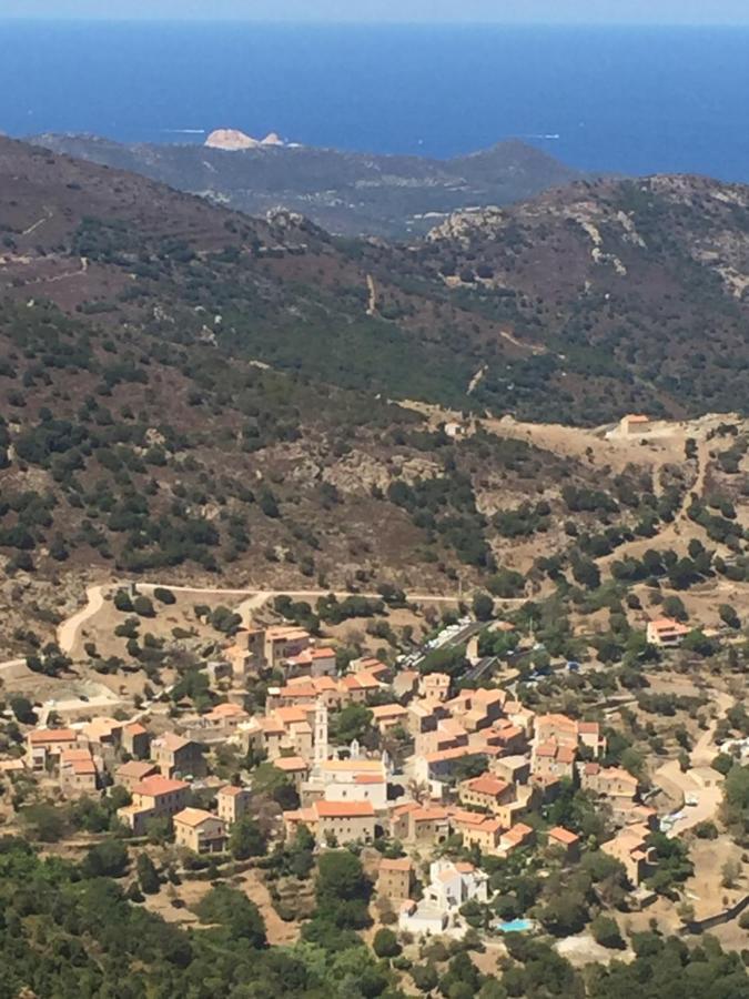 Villa Grand Confort A 500M De La Plage De Lozari Palasca  Exterior foto